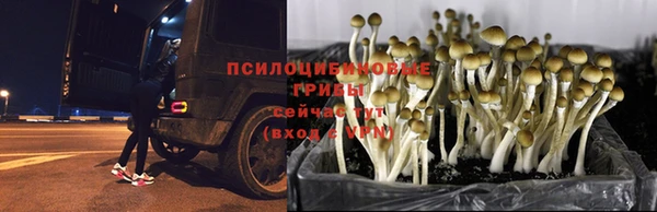 кокаин колумбия Анжеро-Судженск