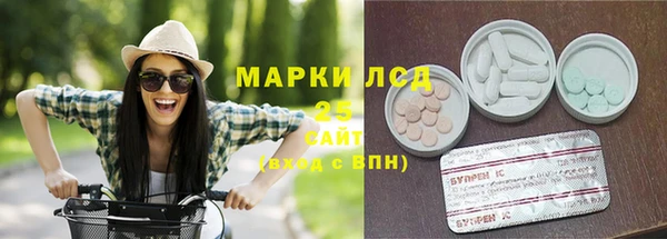PSILOCYBIN Аша