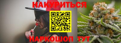 индика Гусь-Хрустальный