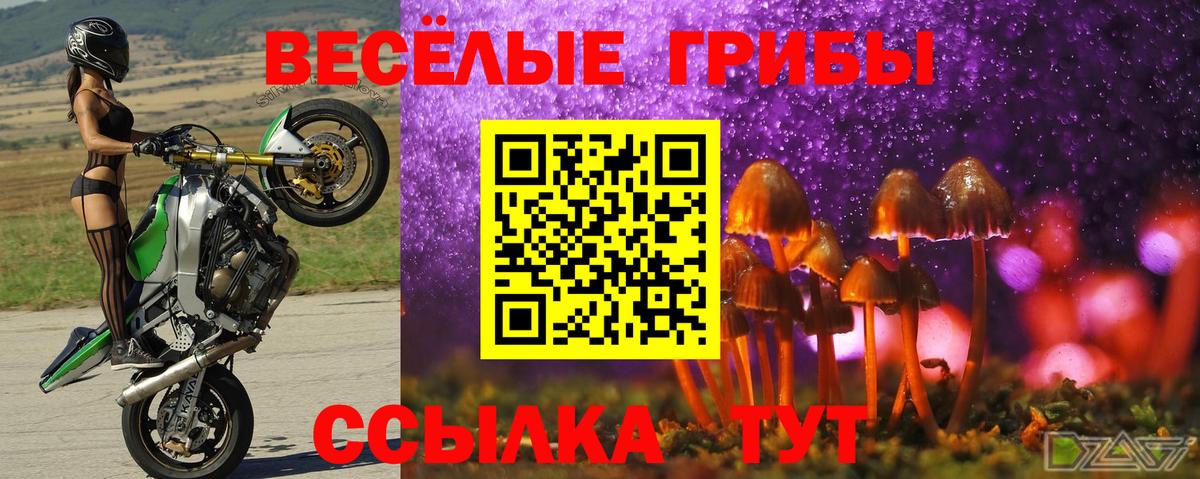 Галлюциногенные грибы прущие грибы  Галлюциногенные грибы мицелий  Вход с VPN  Еманжелинск 